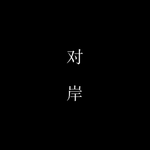 对岸