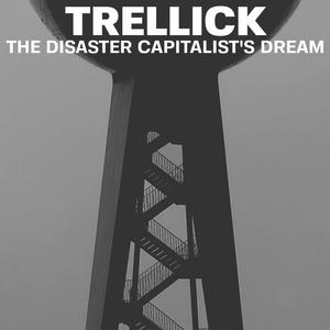 The Disaster Capitalist's Dream (Remoaner mix)