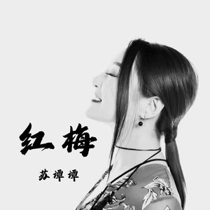 红梅（烟嗓版）