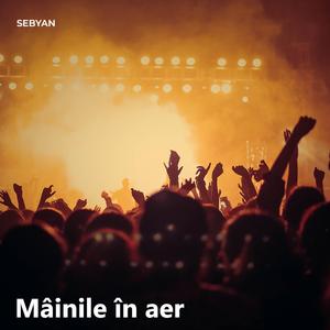 Mâinile în aer
