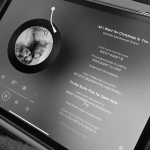 樱花树下的约定