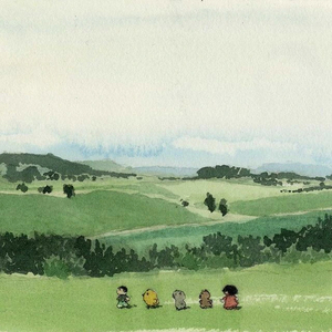 鸽子