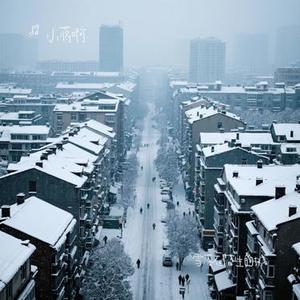 雪落在陌生的城 (Remix)