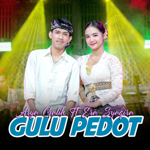 Gulu Pedot