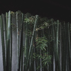 琴箫合奏曲-射雕