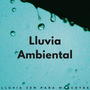 El Ritmo De La Lluvia Inspira Un Escalofrío Perfecto