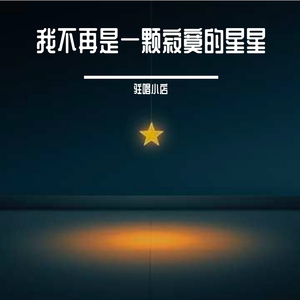 我不再是一颗寂寞的星星