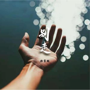 别走