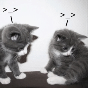 雨下*͈ᴗ͈ˬᴗ͈ෆ