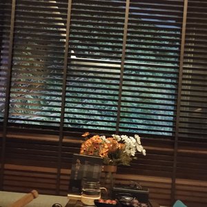 Desert Wind Whisper 沙漠风语