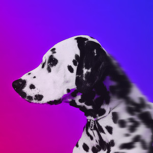 Тянутся струны (Paintedfriend's Version)