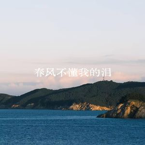 春风不懂我的泪