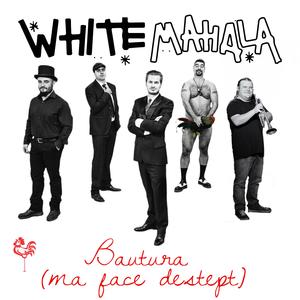 Bautura (ma face destept)