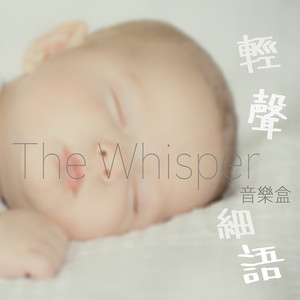 Piano Sonata in D major, D 850, Opus 53 (1825) 3. Movement Music Box