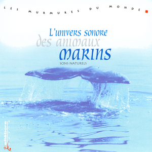 L'Univers Sonore Des Animaux Marins