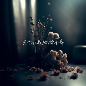 是你让我输掉全部