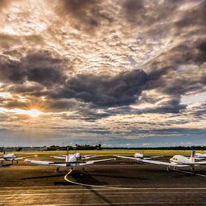 当花开半夏情意浓