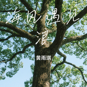 海风遇见浪