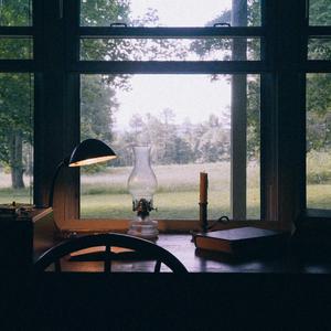 The Desert Or The Wilderness