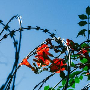 我想打个滚