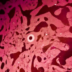 Somewhere We Will Go