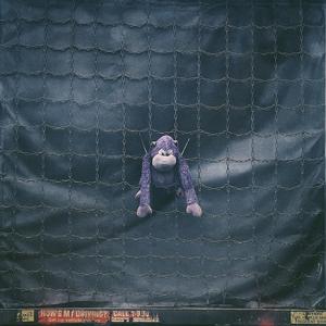 Thin Ice (feat. Tron Javolta)