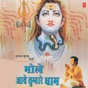 Shivji Jab Tumhara Dam Dam Damru Baje