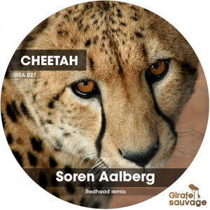 Cheetah (Original Mix)