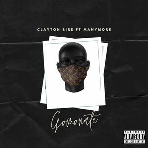 Gomonate (feat. PYY Logdrum King, Stupid, Lebo & Notorious Tee)