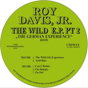 The Wild Life Experience (Original Mix)