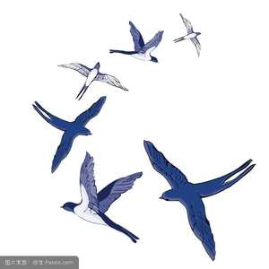 含笑又白鹭（Cover 崔开朝）