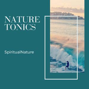 Colorful Blessing From Rain Water