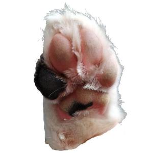 大熊猫的彩色世界