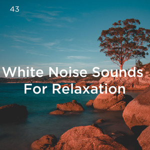 ホワイトノイズスリープ