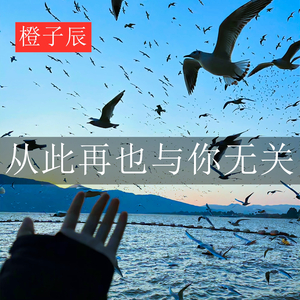从此再也与你无关