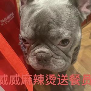 Hello Mike（末尾有瓜）