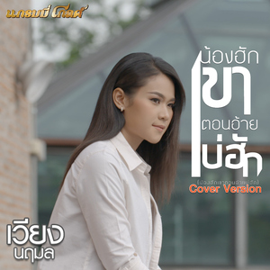 น้องฮักเขา ตอนอ้ายบ่ฮัก (Cover)