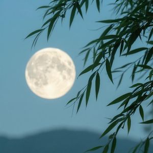 清风明月伴我行