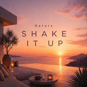 Shake It Up