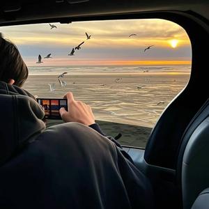 避风港是张钞票（伴奏）