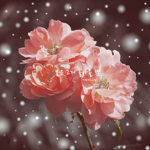 봄은 그저 돌아올 뿐