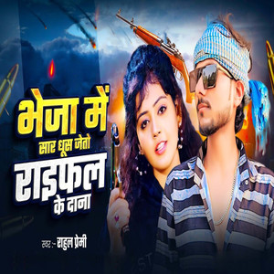 Bheja Me Saar Ghus Jeto Raiphal Ke Dana