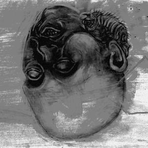 Detrimentum Voluntarium