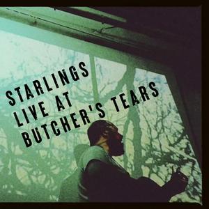 Starlings (Live) (Live)