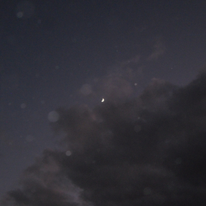 Te amo y . (feat. A. R.)