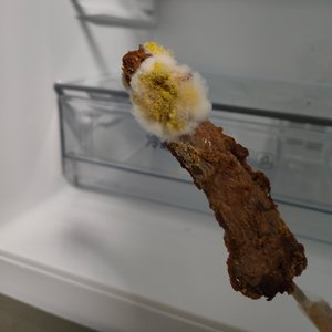 夜晚的小狗撒尿还有我发霉的鸭脖