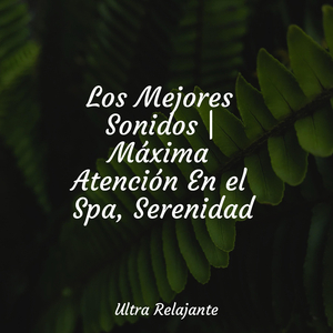 Relajarse