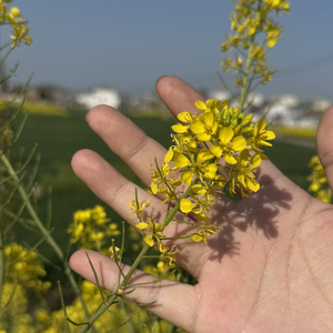 你要过得风光，才不负我的荒唐