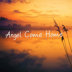 Angel Come Home