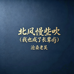 北风慢些吹（我也成了长辈dj）